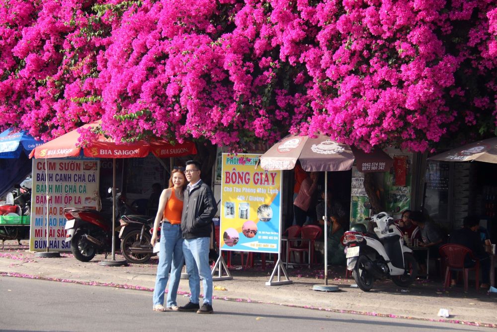 check-in hoa giấy cảng phan thiết